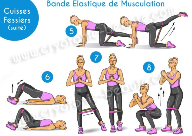 Comment Muscler Son Fessiers Les Exercices De Bases